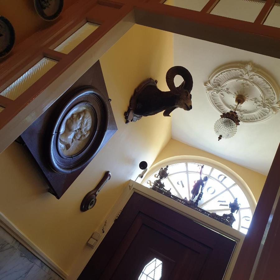 Deventer Heritage En Boutique B&B Museumhuis Huize "De Worp" Kültér fotó
